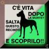 Cartello attenzione cane fosforescente
