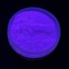 Pigmenti Fluorescenti UV 