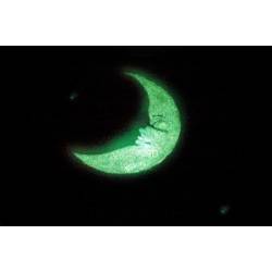 Vernice fosforescente all'acqua moonglo 1L