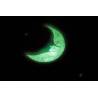 Vernice fosforescente all'acqua moonglo 1L