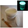 Vernice fosforescente all'acqua moonglo 1L