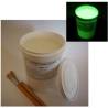 Vernice fosforescente all'acqua moonglo 1L