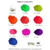 Pigmenti fluorescenti 1KG