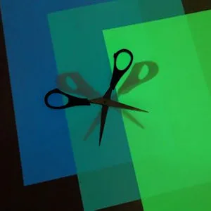 carta fotografica